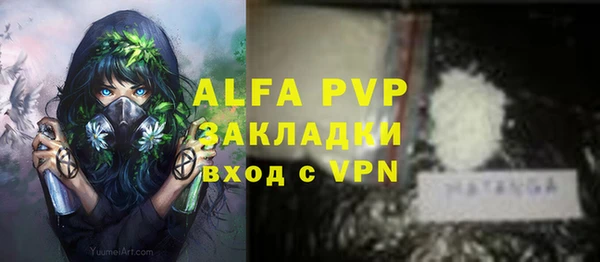 ПСИЛОЦИБИНОВЫЕ ГРИБЫ Навашино