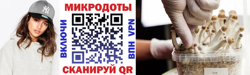 где найти ссылка на мегу ONION Псилоцибиновые грибы прущие грибы Цивильск